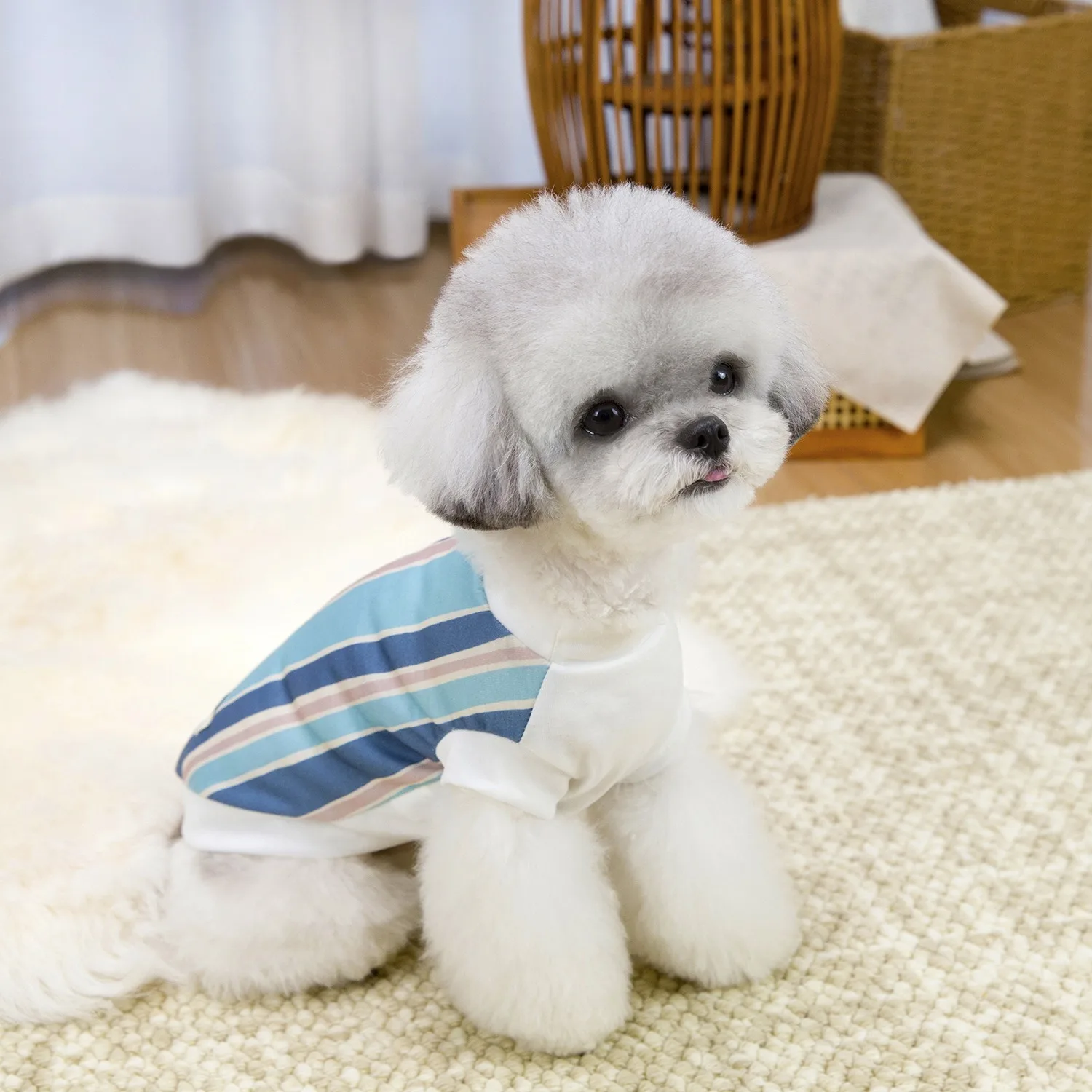 Dog Wave Vest Teddy Breathable Clothing Bichon Frise Vertical Stripe T-Shirt Pomeranian Adorable Short Sleeve