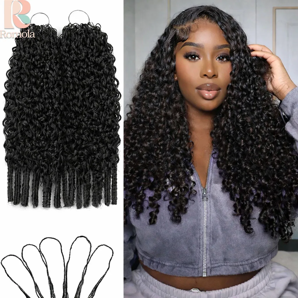 Romola Burmese Curl…