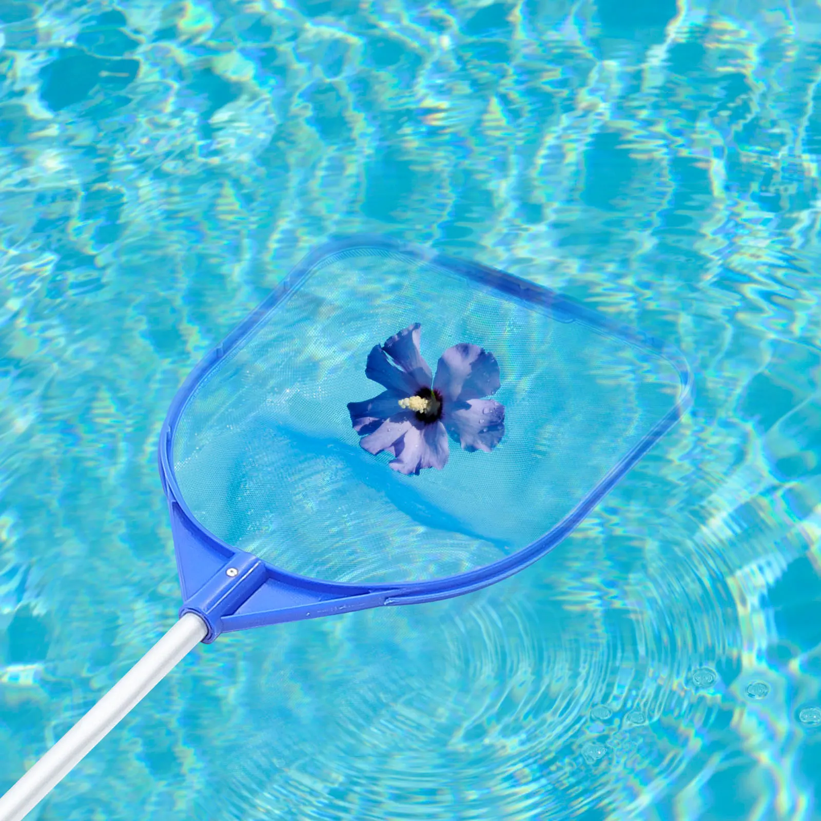 

Swimming Pool Cleaning Net Premium Plastic Aluminium Durable Lightweight Easy Disassemble Deals Debris Leaves Dirt Floating
