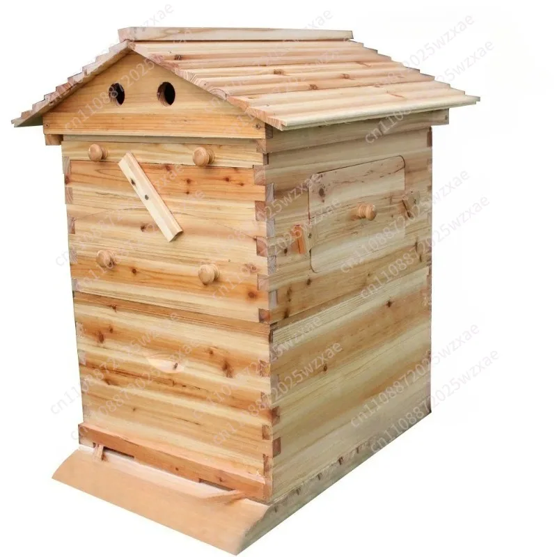 Honeycomb No Bee Rack, Automatic, Traffic Honeycomb Honey