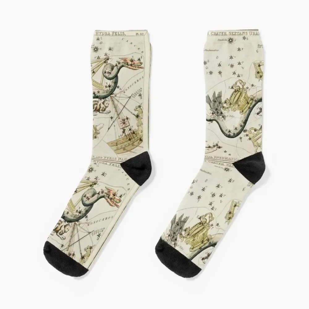 Antique Constellations Socks cartoon Non-slip Boy Child Socks Women's