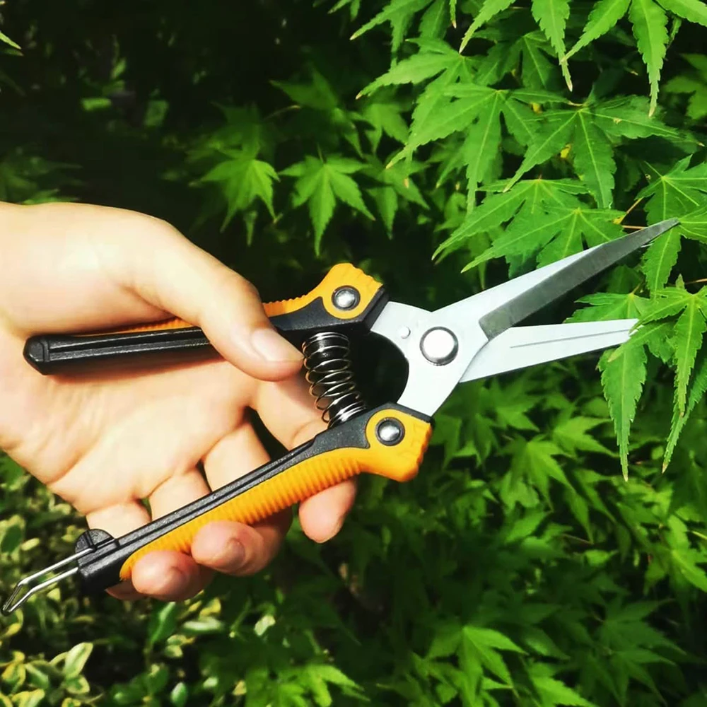 Imagem -05 - Tesoura de Poda Jardim Tesouras Lâminas Retas de Aço Inoxidável Afiada Jardinagem Pruner Mão para Frutas Plantas Profissional
