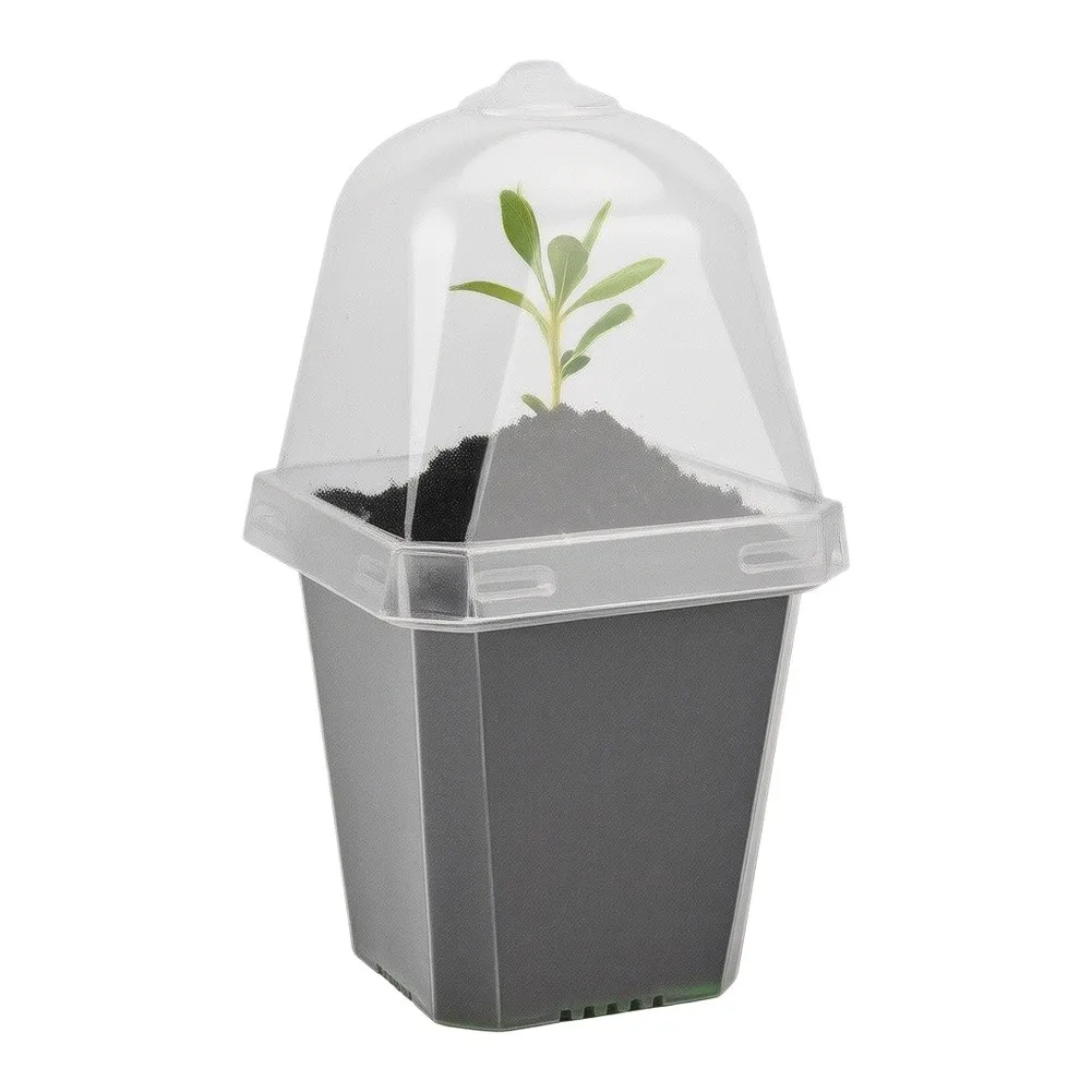 Lightweight Clear Nursery Container with Ventilated Dome for Moisture Management in Home-Based Plant Raising Activities