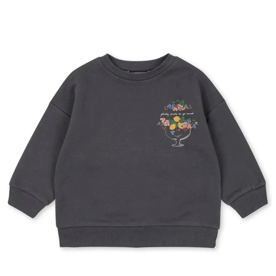 2026  Spring Baby Boys Cotton Sweatshirts Pullovers Pants Sets Kids Sun Protection Clothing Girls Sweatshirts Hoodies Trousers