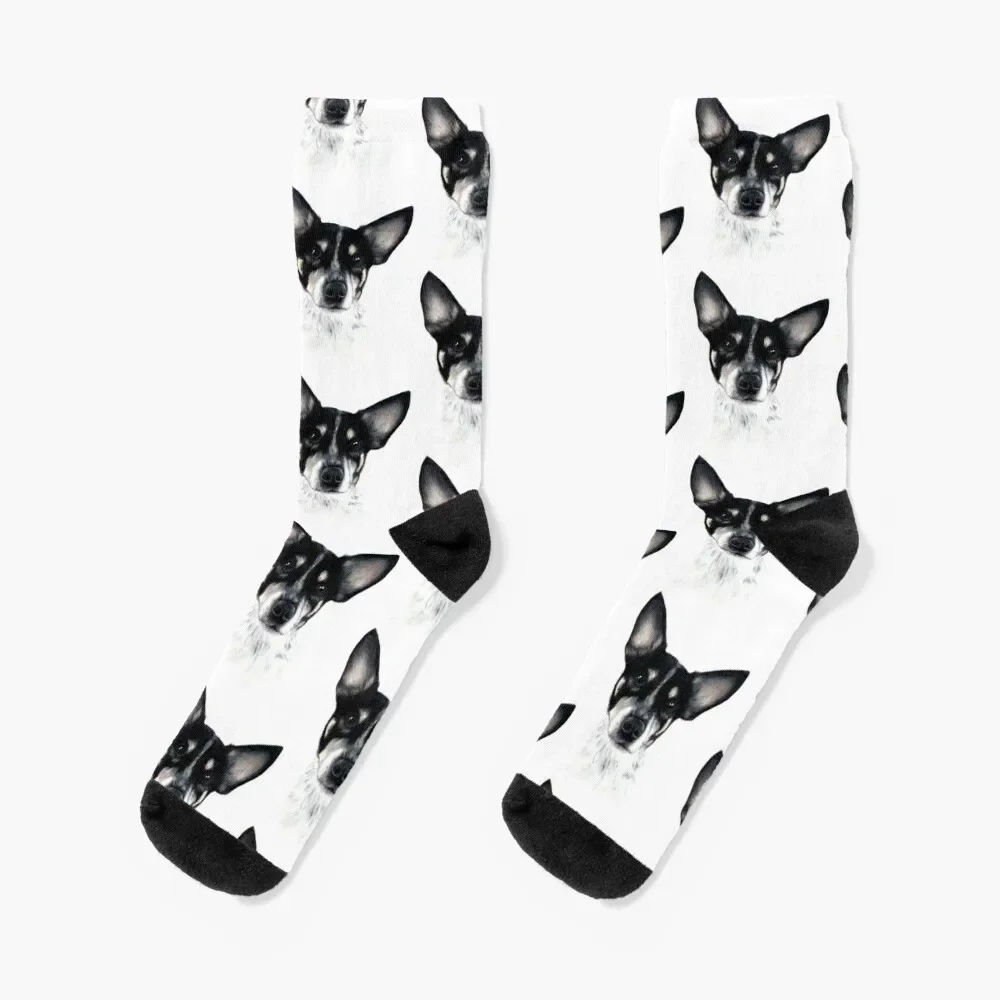 

Rat Terrier Socks snow hiking cool Heating sock Socks Men Women's