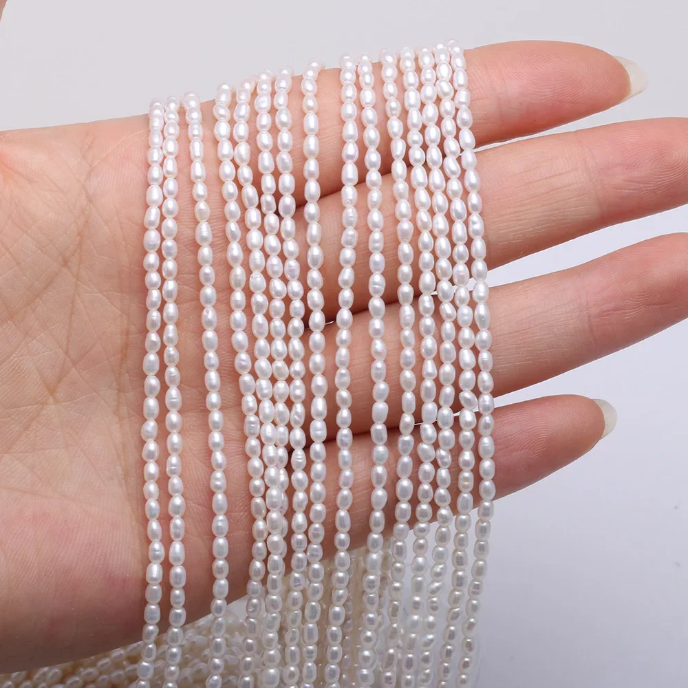 Natural Freshwater Pearl Beaded High Quality Rice Shape Punch Loose Beads for Make Jewelry DIY Bracelet Necklace Accessories