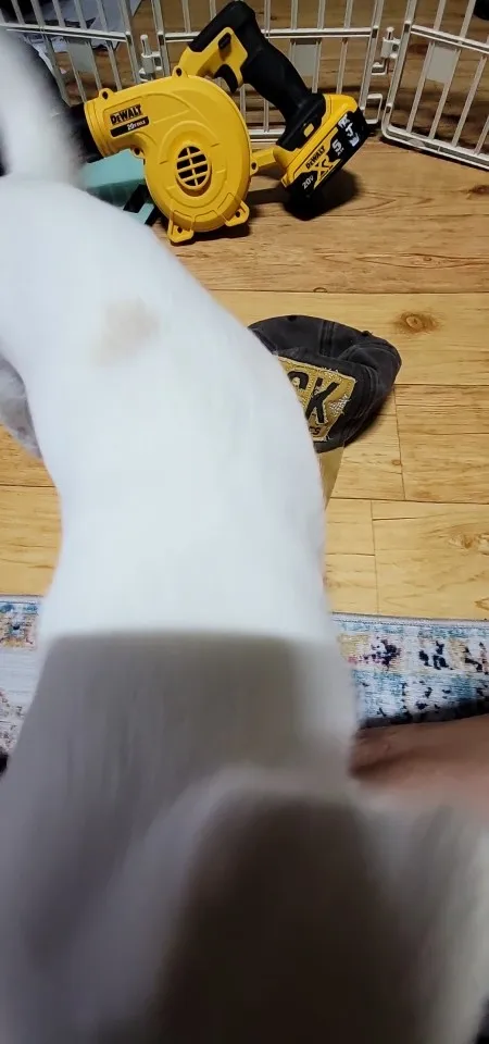 구매후기
