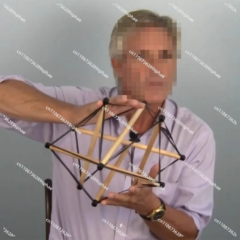 Anatomy Train Pelvic Tension Model Structural Rehabilitation Fascia Tension Model