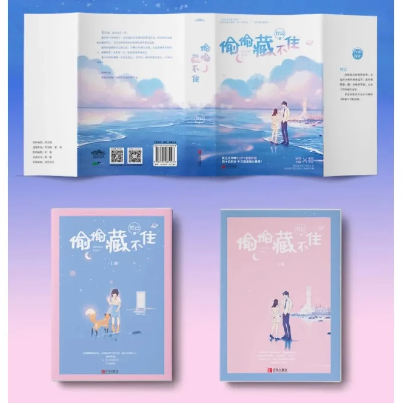 2 Books/Set Hidden Love Tou Tou Cang Bu Zhu Novel Vol. 1+2  Duan Jiaxu, Sang Zhi Youth Campus Romance Love Fiction Books