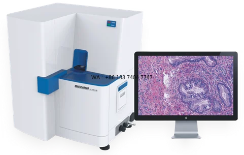 for Hospitals BestScope Scanpro-120 High Speed Full Automatic Digital Pathological Slide Scanner Suitable