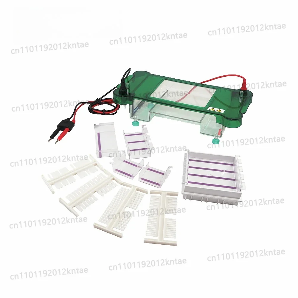 High Precision Automatic Laboratory Electrophoresis Machine Scientific Research Apparatus Quality Assurance Equipment