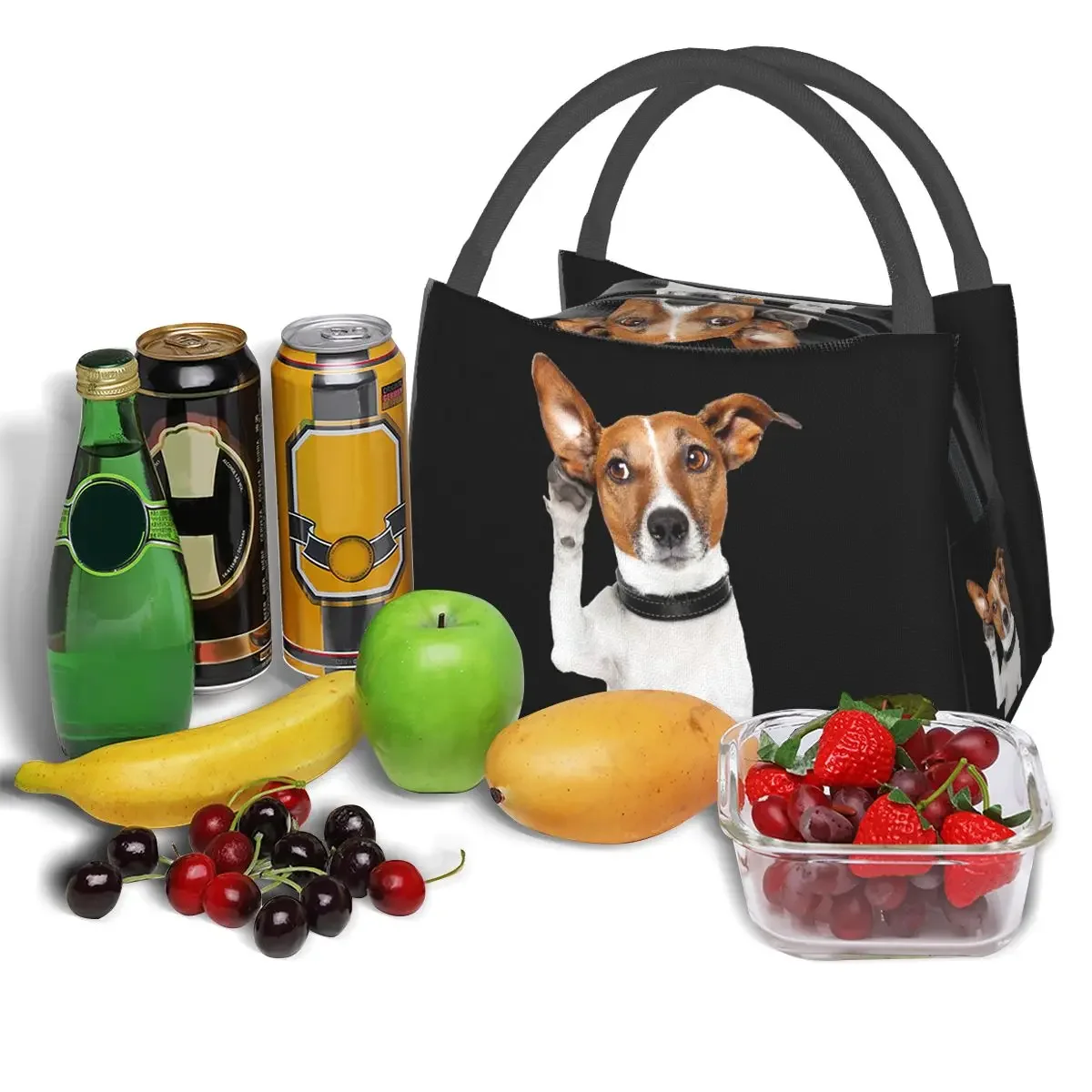 Jack Russell Terrier Dog Funny Lunch Bags isolato Bento Box Portable Lunch Tote borse da Picnic riutilizzabili per la scuola dei bambini della donna