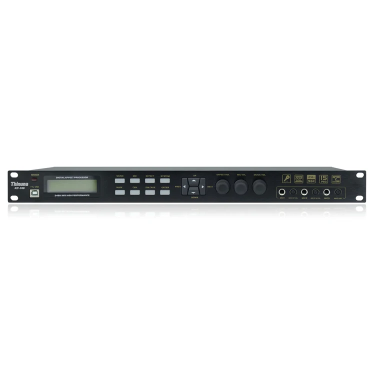 

Thinuna KP-100 High Performance 24 Bit AD/DA Converter Dual 15 Segment Professional Pre Amplifier for Karaoke Effector