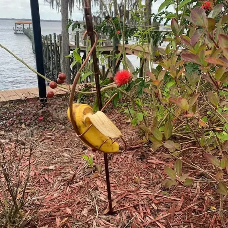 Farfalla Banana amaca mangiatoia a farfalla, supporto per Banana, mangiatoia per insetti da giardino mangiatoia da giardino mangiatoia per appendere durevole