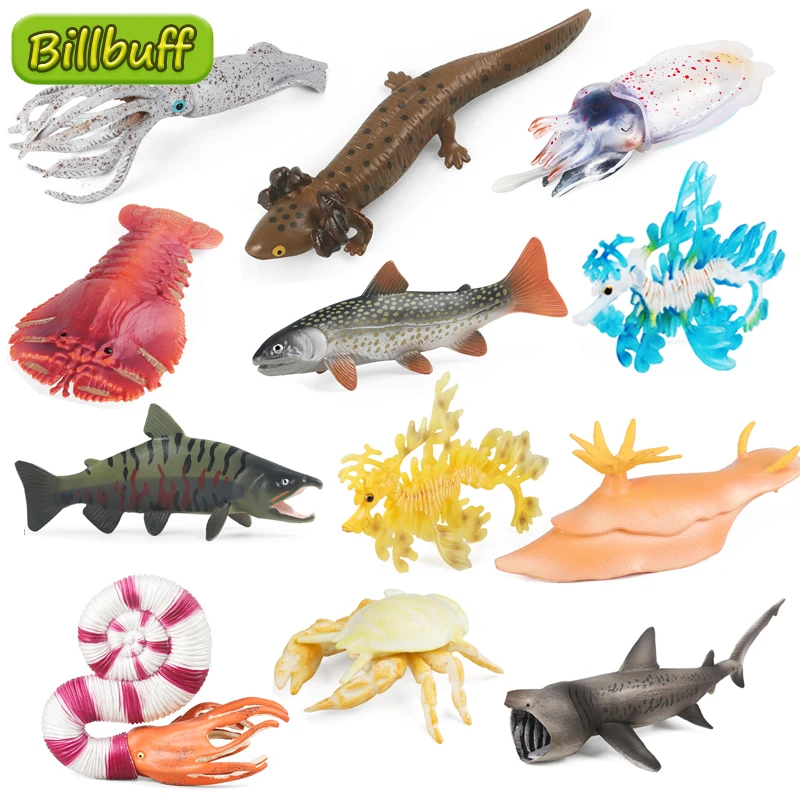 Realistic Marine Animals Fish Pipa Shrimp Sea Dragon Sea Hare Autumn Saury Crab Educational Toy Model  Figures Educational Toys