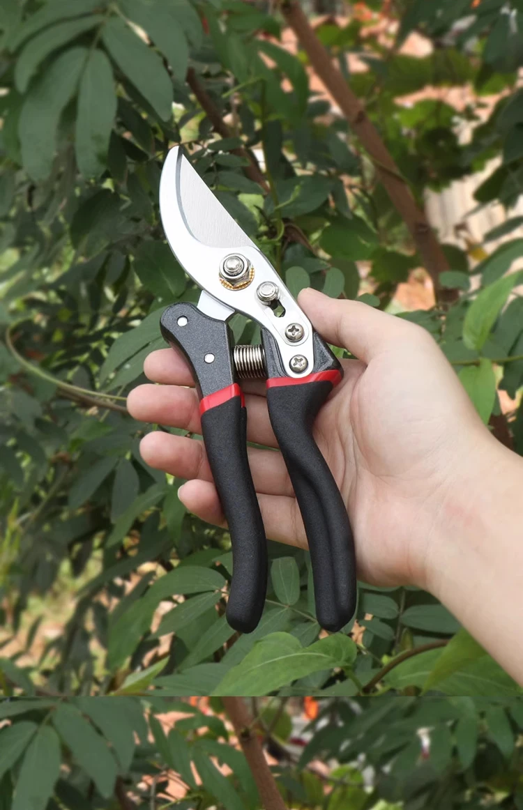 SK5 Stahl Garten Hand Pruner Obstgarten Schere Langlebiges Baum Trimmen Werkzeug für Beschneiden Obst Bäume Garten Schneiden Werkzeuge – Detail 13