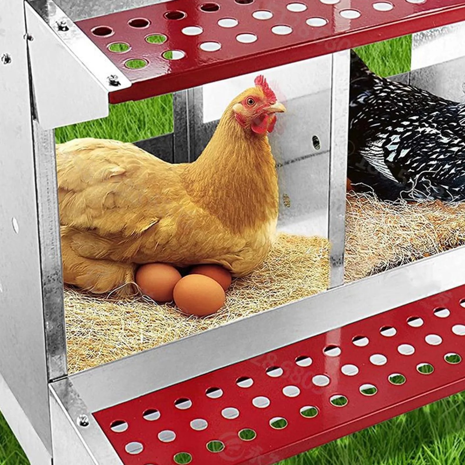 Chicken Nesting Box 3 Compartment Well Ventilated Sturdy Hen Laying Box for Egg Collection Hen Nesting Box Chicken Nesting Box