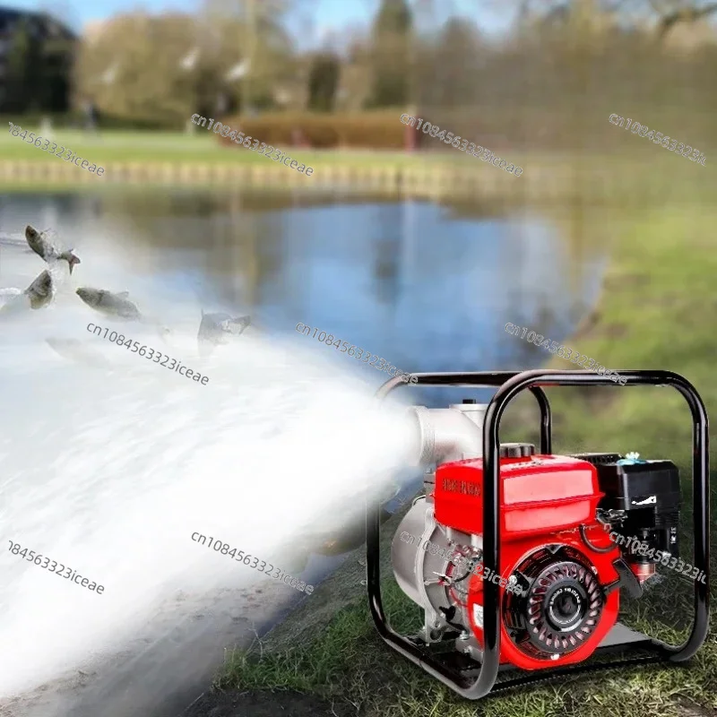 Water Pump Agricultural Irrigation 2-inch 3/4-inch Self-priming Vegetable Watering Fire Protection Electric