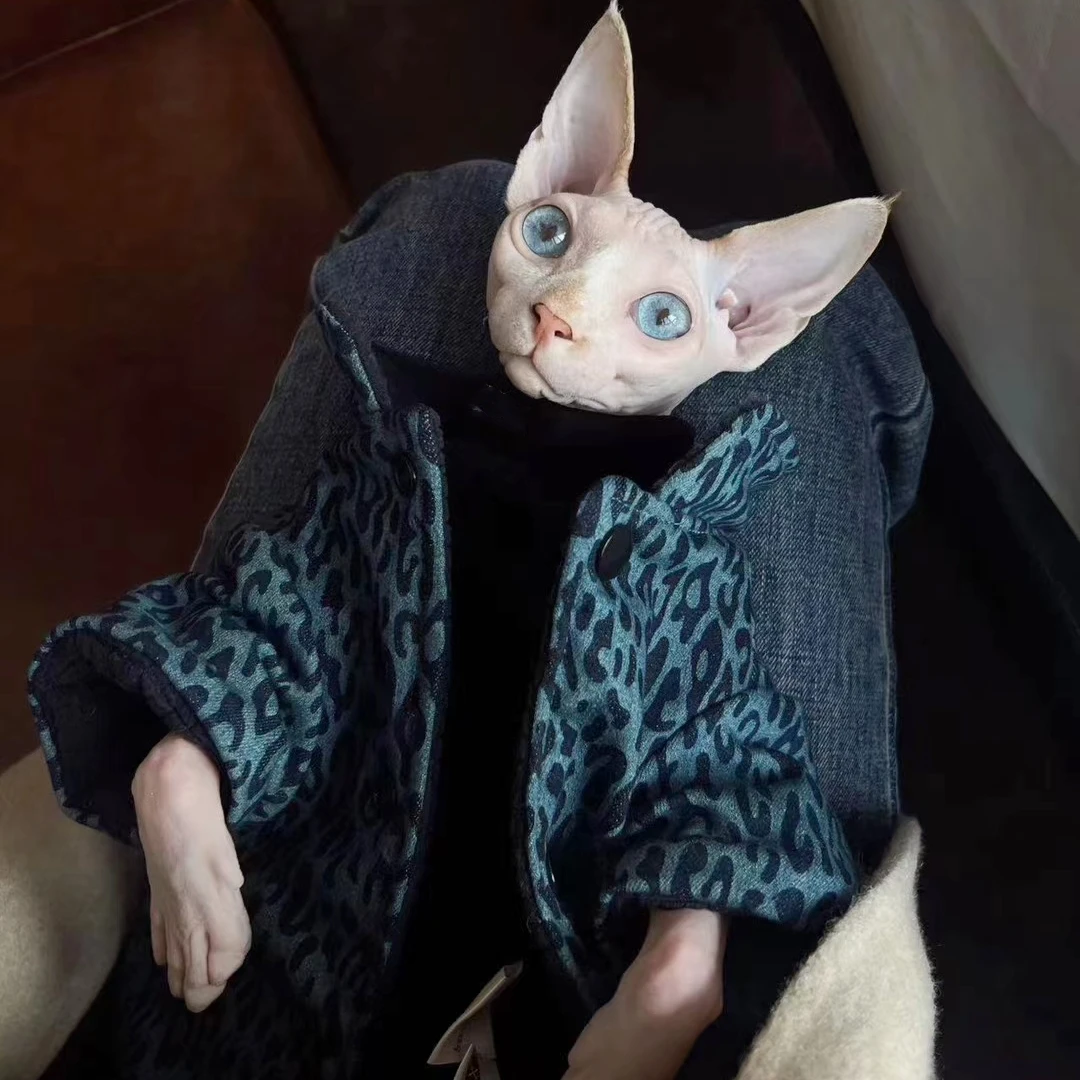 Fleece Sweatshirt Coat Suit for Sphynx Cat in Winter thick warm Costume for Kittens Dogs Soft Blue Leopard Jacket for Male Cat