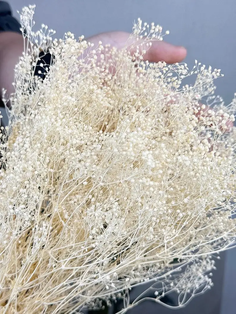 Bleaching Mini Natural Dried Gypsophila Naturally Preserved Baby Breath, Dried Flower Supply for Bouquet Wedding Home Decor