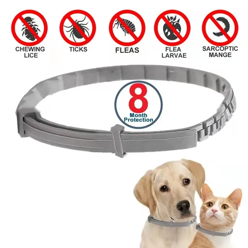 Kalung anjing Anti kutu dan leher, aksesori anjing perlindungan 8 bulan kerah dapat disesuaikan untuk anak anjing kucing besar