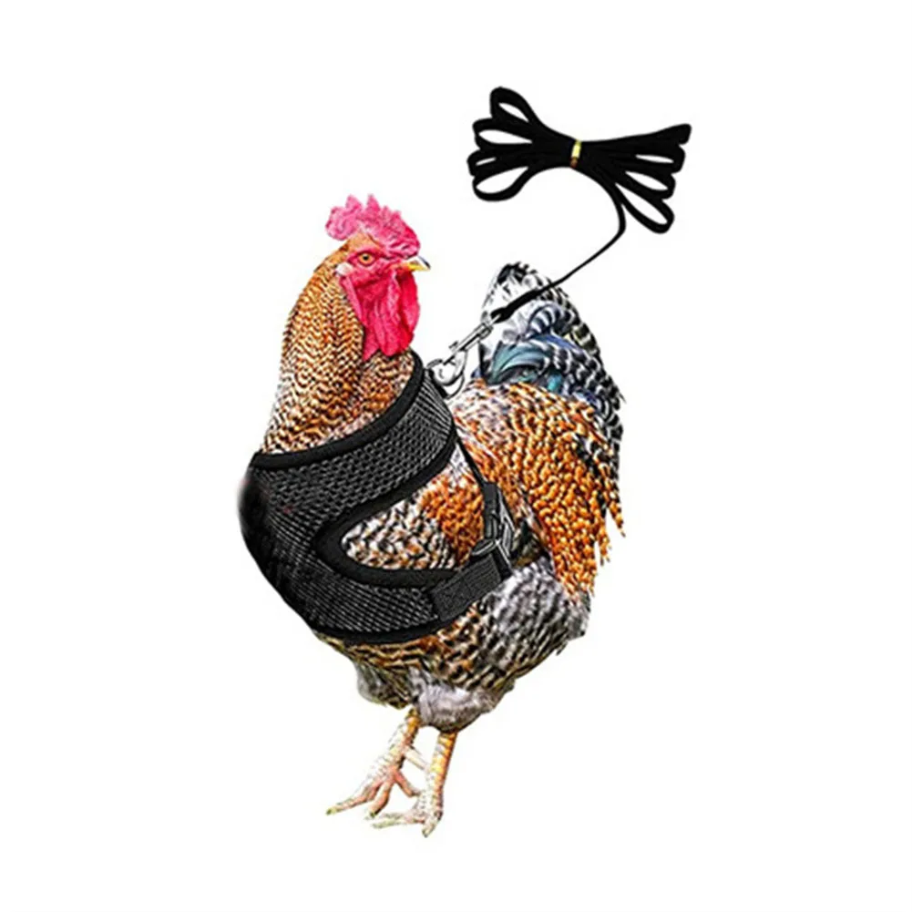 Adjustable Chicken Harness with Leash- Comfortable Hen Vest Breathable Mesh Poultry Vest Harness Duck Goose Hen Small Pets xqmg