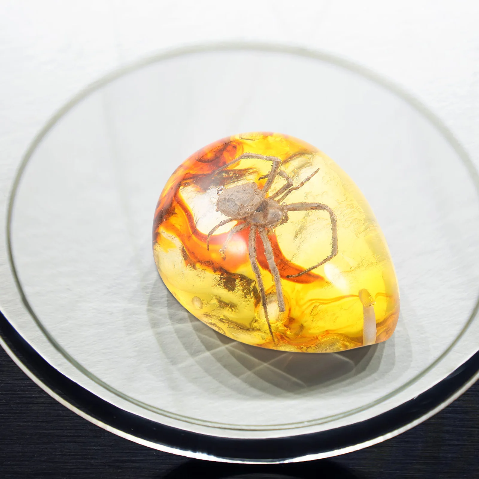 

Amber Insect Specimen Decorations Crystal Decorative Shaped Crafts Ornament Miss Artificial