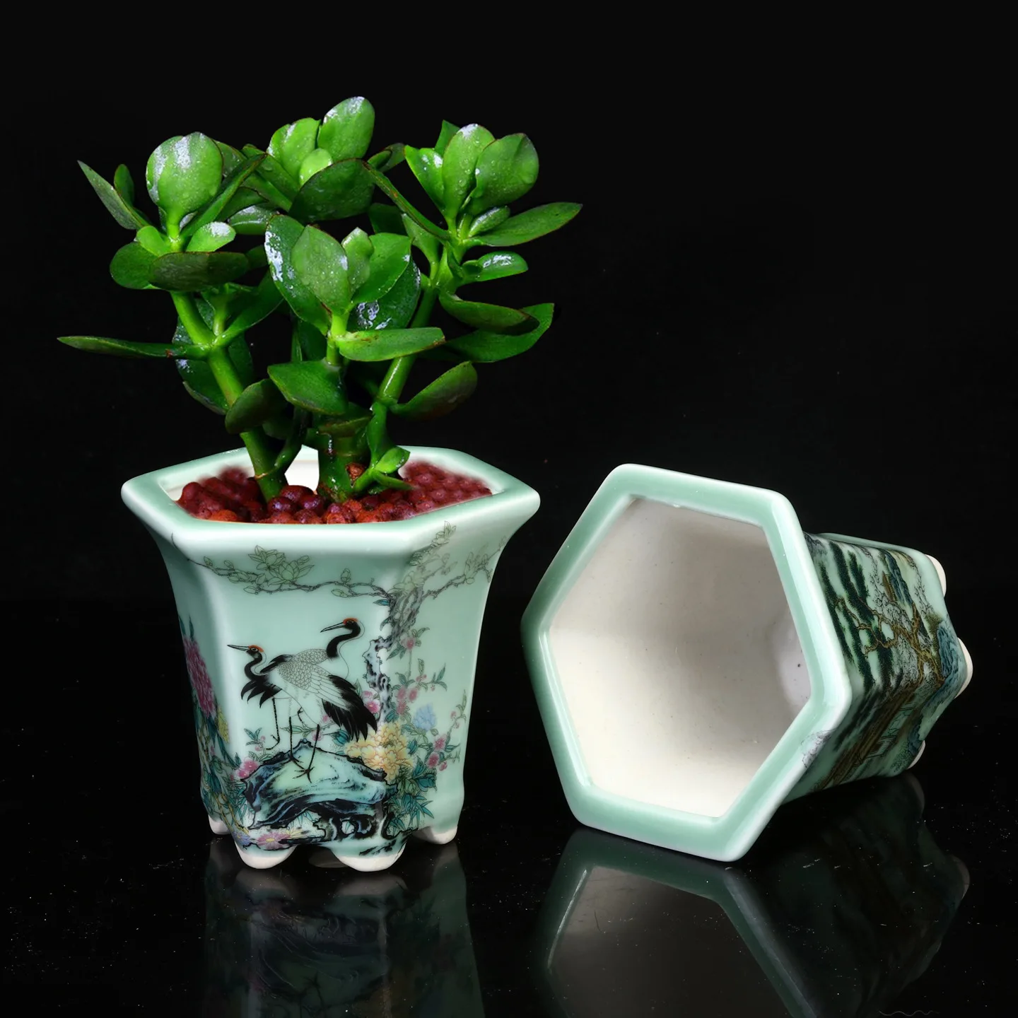 Hxl hexagonal ceramic hand-painted glazed succulent pot with purple clay accent