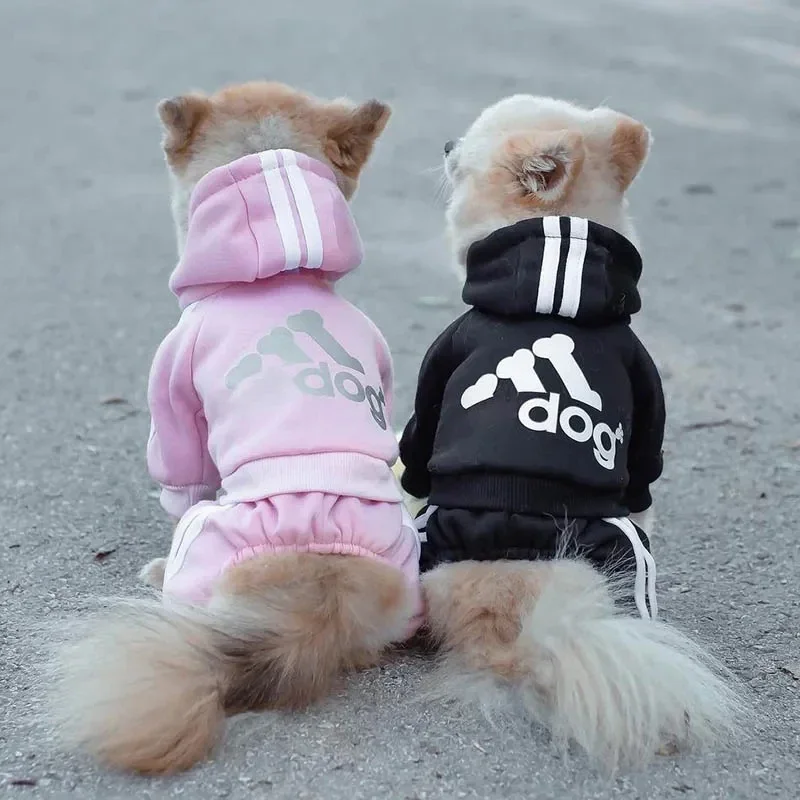 Hooded Pet Tracksuit 4