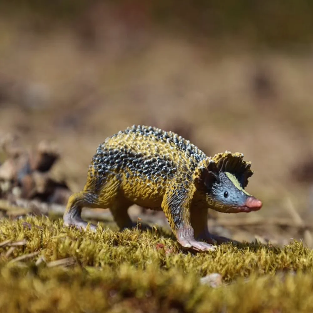 Toymany محاكاة لولاند مخطط Tenrec مدغشقر نماذج للحيوانات لعبة شخصيات صغيرة دمى عمل التماثيل لعبة الأطفال Gife Cak