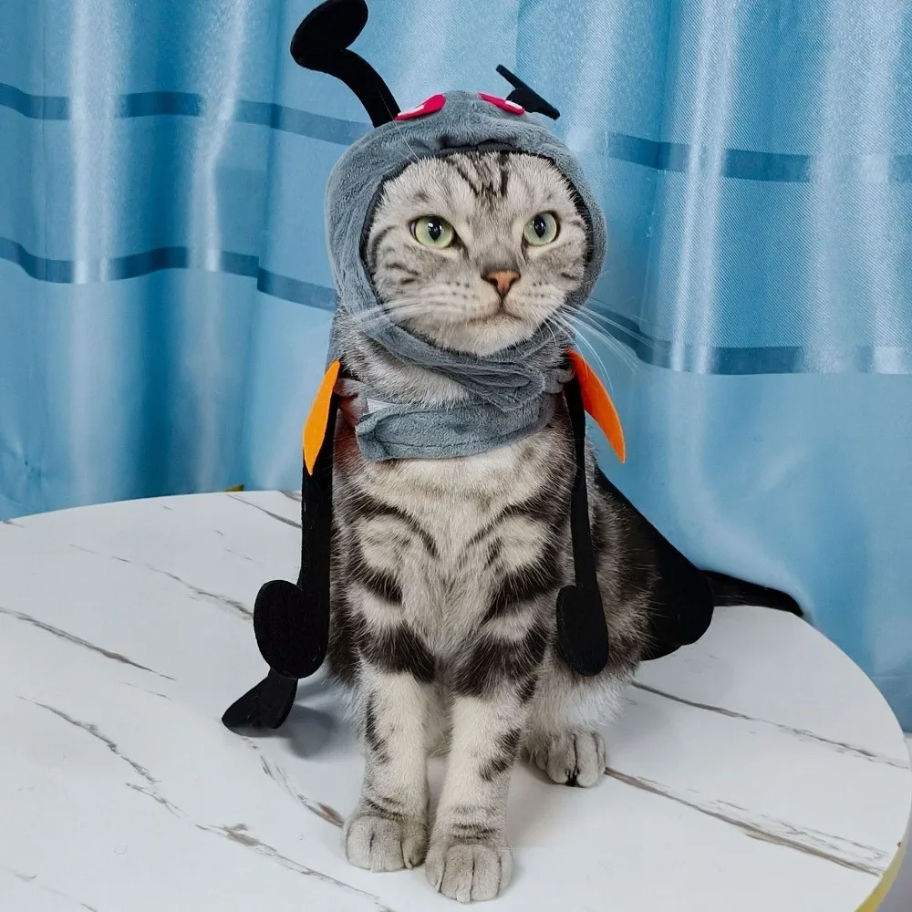 Funny Simulation Pl…