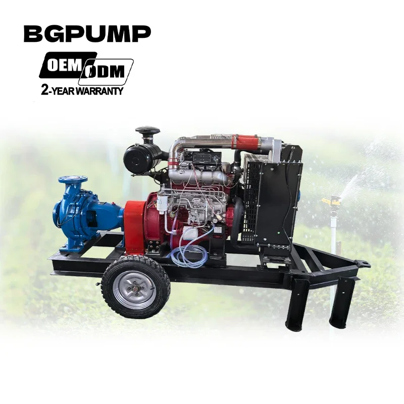 Agriculture 55kw Horizontal Single Stage Centrifugal End Suction Pump Irrigation Pump