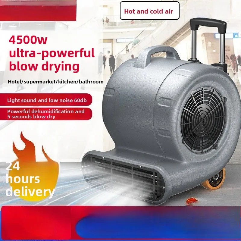 Blower Floor Blow Dryer Commercial High Power Carpet Drying Toilet Floor Dehumidification Hair Dryer