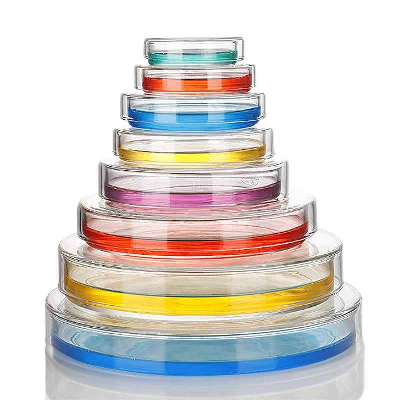 120mm 150mm Glass Petri Dish for Bacteria Cell Culture Lab Use High Quality