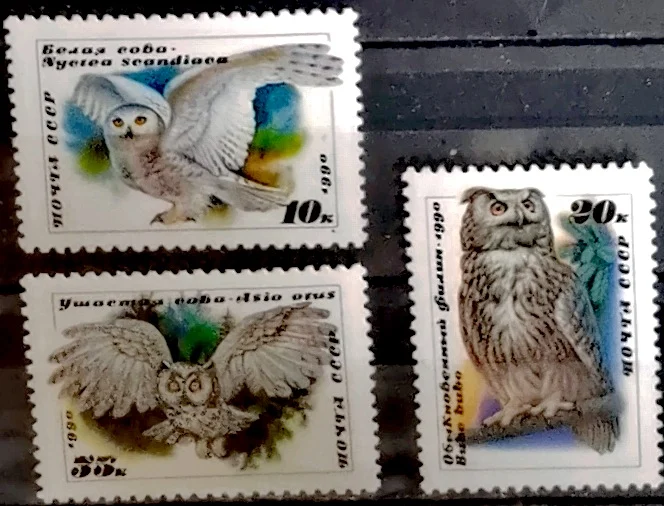 3Pcs/Set New Ussr C…