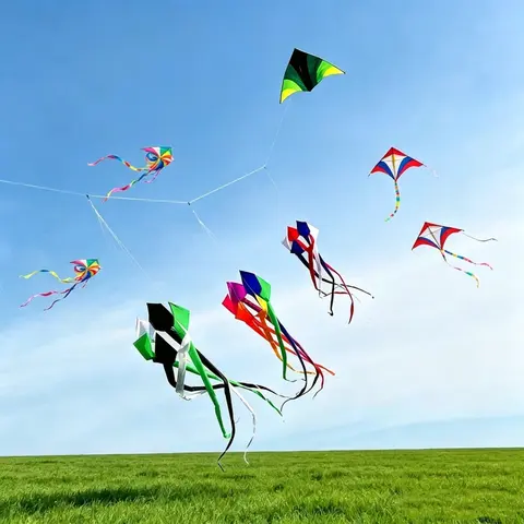 3d kite windsocks 6m rainbow kites reel albatross kites factory Outdoor toys Power kite wind drachen steigen cometas parapente