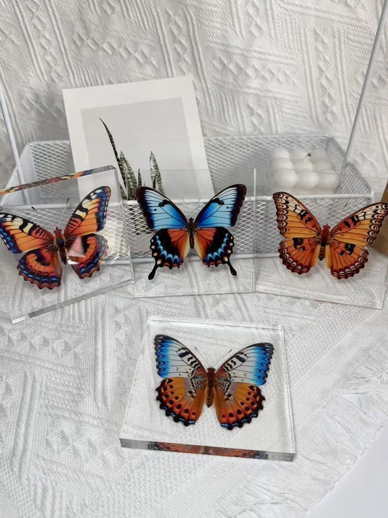 1 Stück Handgefertigtes Schmetterlings-Exemplar als Schreibtischdekoration, Kleine Ornament-Deko für Zuhause, Geschenk für Kinder und Mädchen – Detail 9