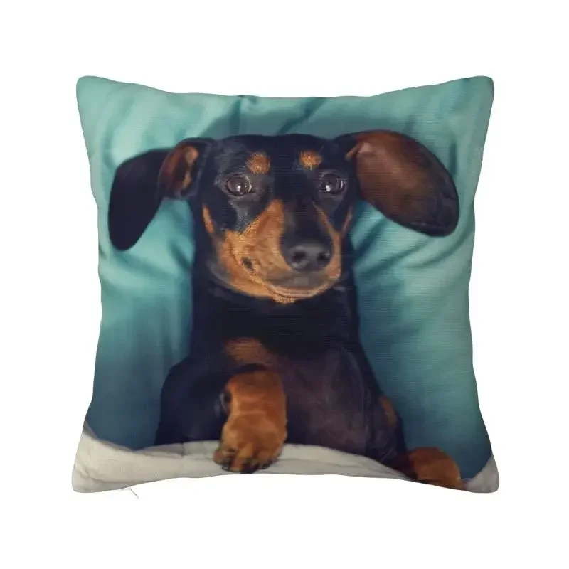 Dachshund Pillow Case 40x40cm for Living Room Badger Sausage the Wiener Dog Nordic Cushion Cover Soft Pillowcase