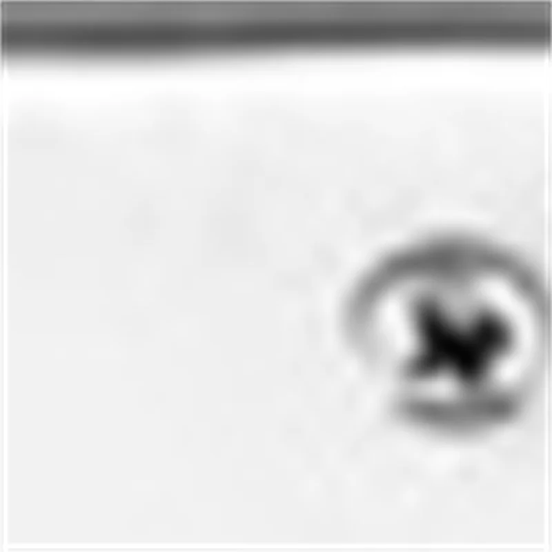 

Машина для приготовления пасты и пельменей, улучшенная модель - полностью электрическая лапшерезка из нержавеющей стали для коммерческого/домашнего использования, ручной ламинатор для теста.