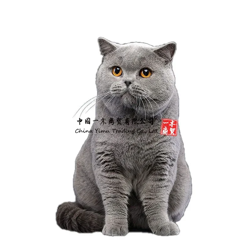 Lovely cat Persian cat Birman Bombay British Shorthair Burmese wall sticker for home decoration car sticker