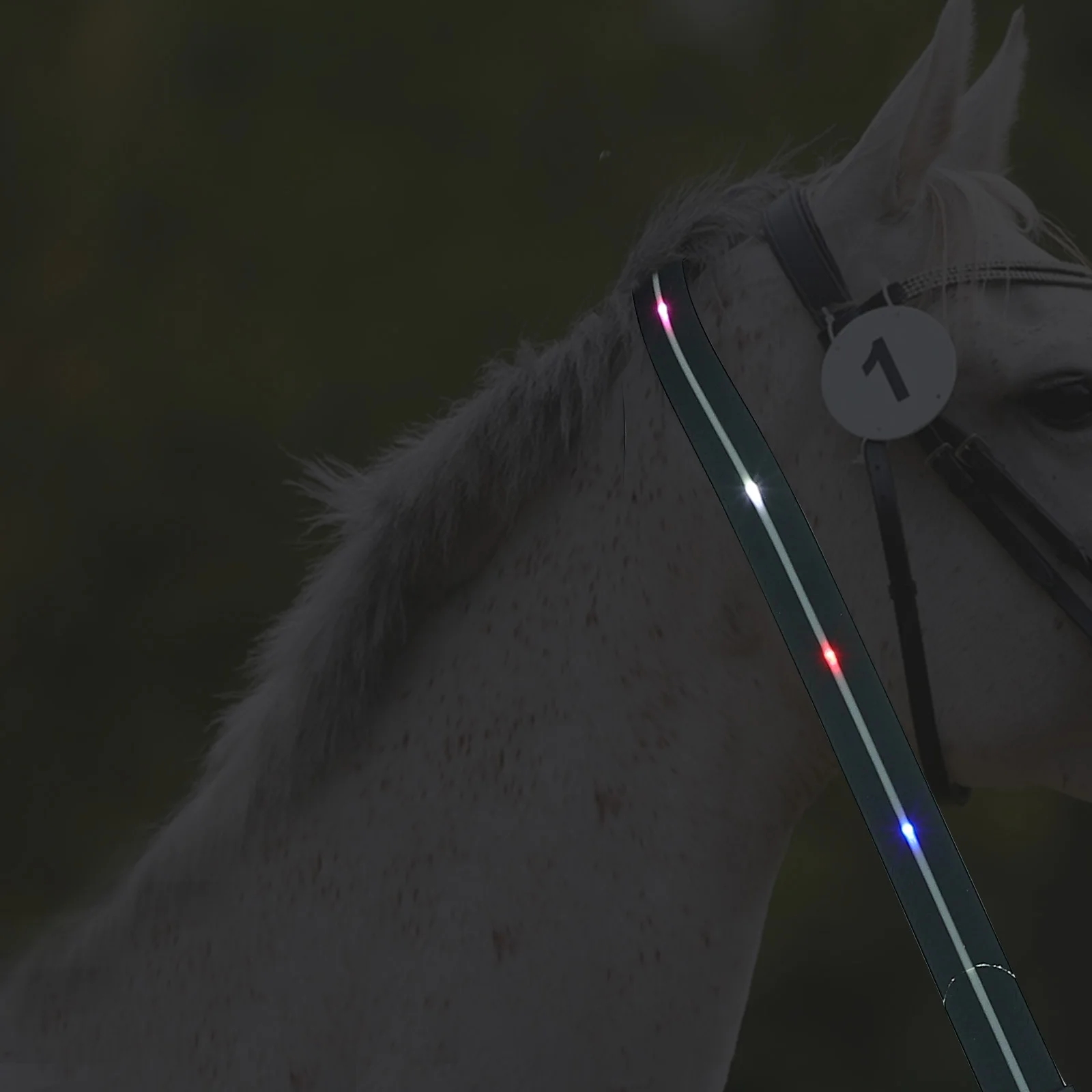 حبل سحب قابل للتعديل على شكل حصان LED لركوب الخيل مقاوم للماء وضوح عالي ومصباح حزام الفروسية المتوهج #6