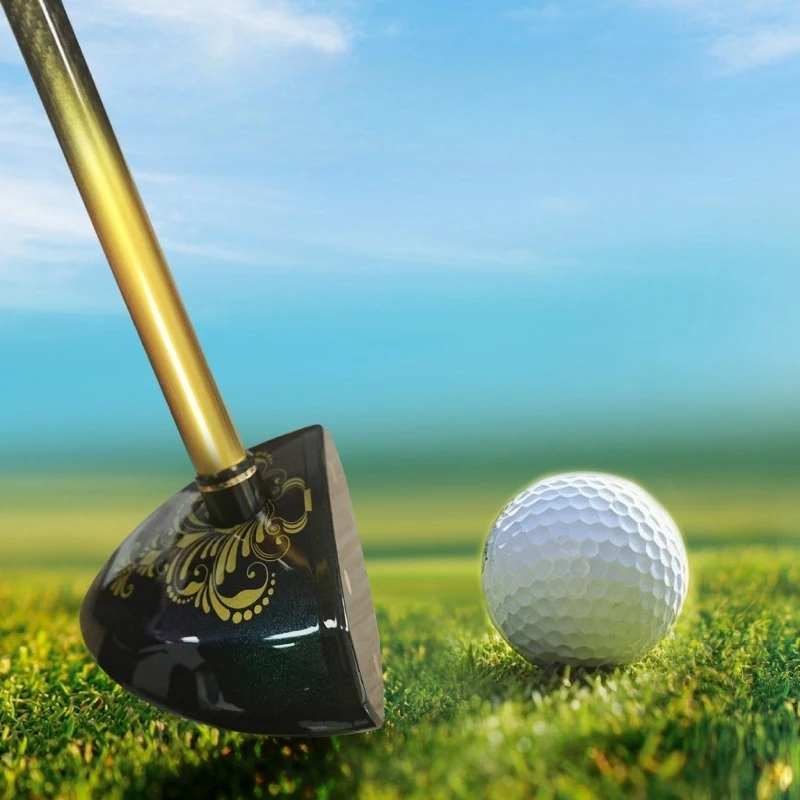 

Park Golf Clubs Chameleon Clubs Training Clubs