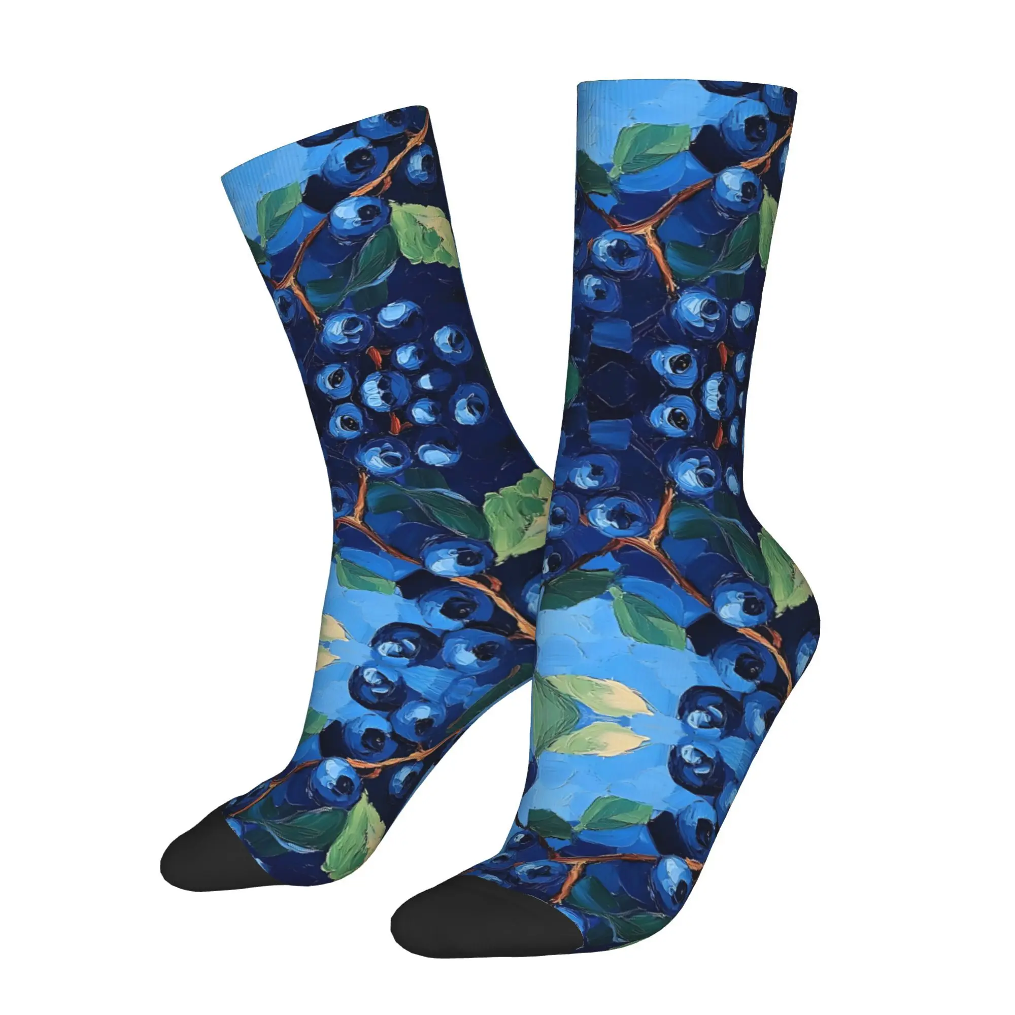 

Fruit Post Impressionist Painting Style 3D Print Men Unisex Cycling Windproof Outdoor Hip Hop Running Hiking Warm Mid-calf Sock
