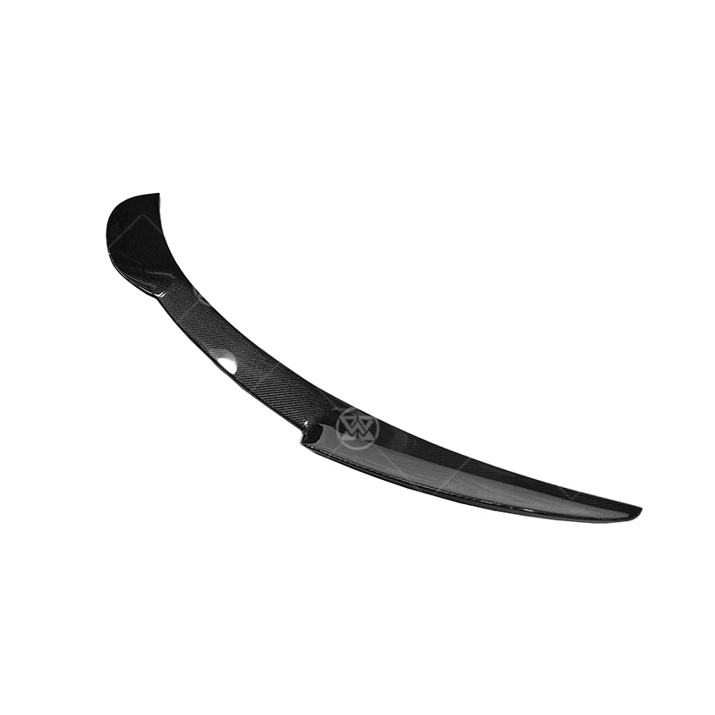 Carbon Fiber Rear B… - image