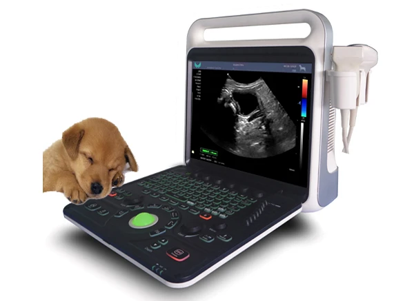 animal Veterinary use equipment Pet color Doppler Ultrasound with 15-inch LED display;