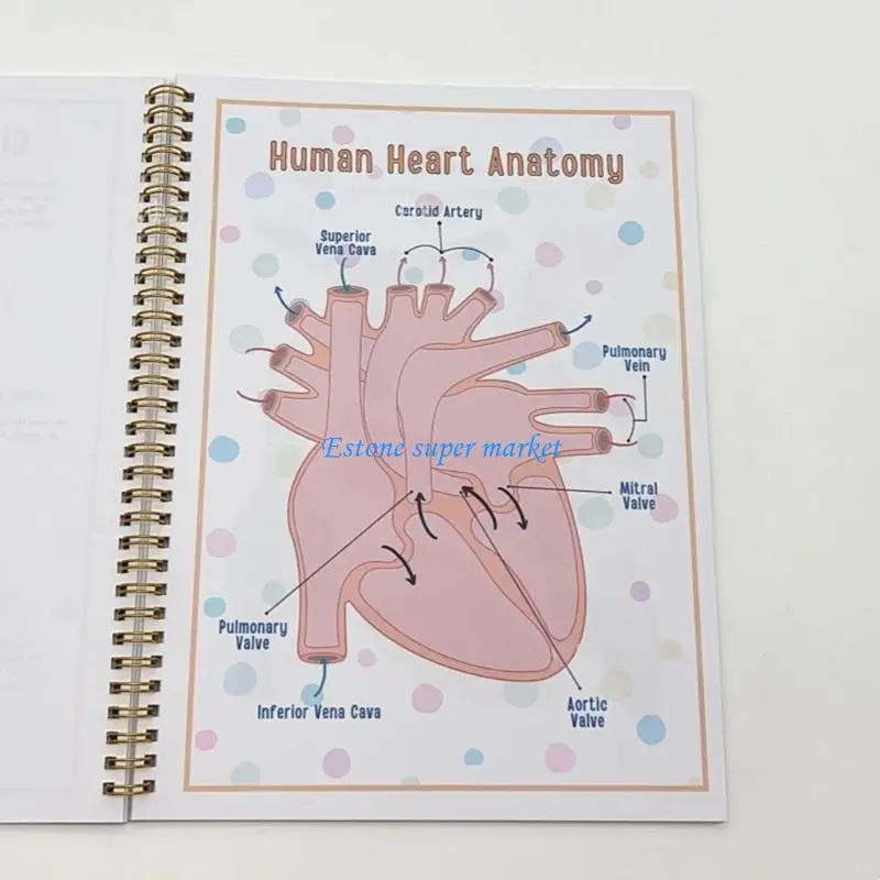 

090B Interactive Human Anatomy Busy Book Accessory for Kids Learning About Body Parts and Multifunction for Ages 6 to 8