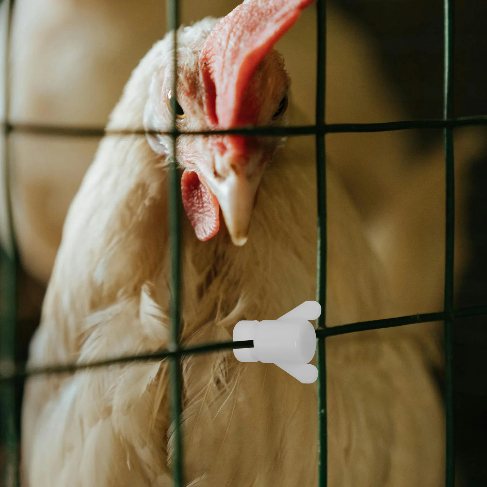 

30Pcs Thickened Plastic Nuts Enhanced Threading for Greenhouse Ventilation Windows Poultry Farm Fixing Agricultural Hardware Kit