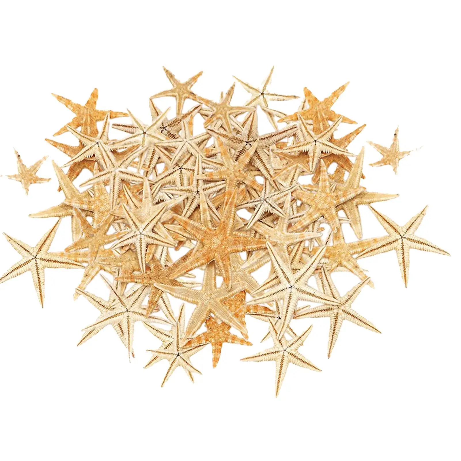 Natural Starfish Mini Starfish Shells Beach Shells Craft Decorating Gift
