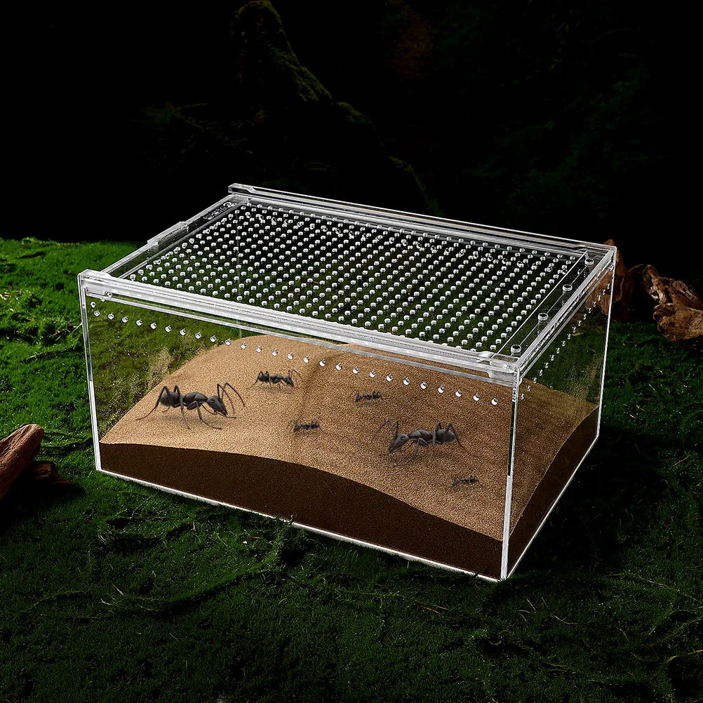 

Acrylic Reptile Cage Transparent Keeper Multi Function Breeding Box Terrarium Suitable Spiders Lizards Turtles Frogs