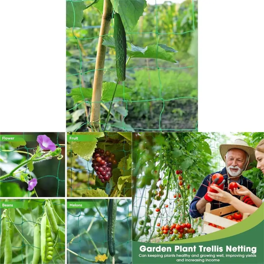 62KD Mesh 9 Strands Agricultural Vine Plant Brackets Net Farming Pumpkins Watermelon Grape Plant Climbing Net Support
